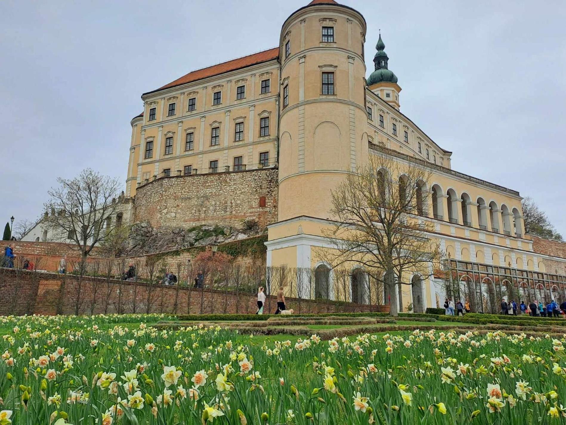 Domek Na Vinohradech Hlohovec Exteriér fotografie